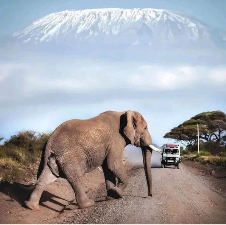 Amboseli National Park