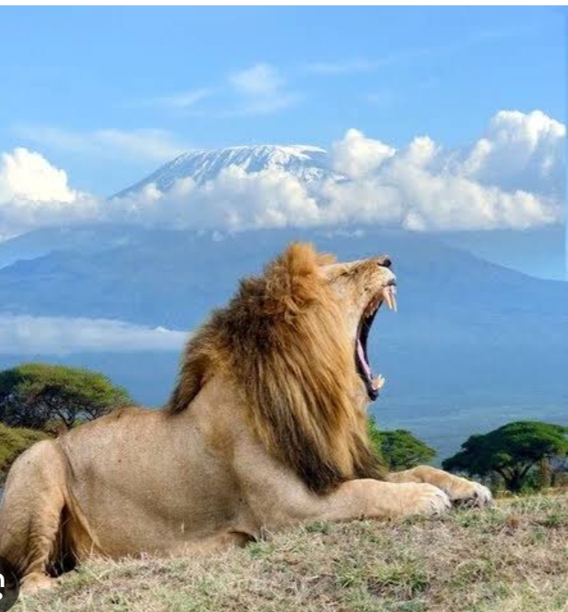 amboseli