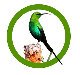 Malachite Sunbird Adventures Logo