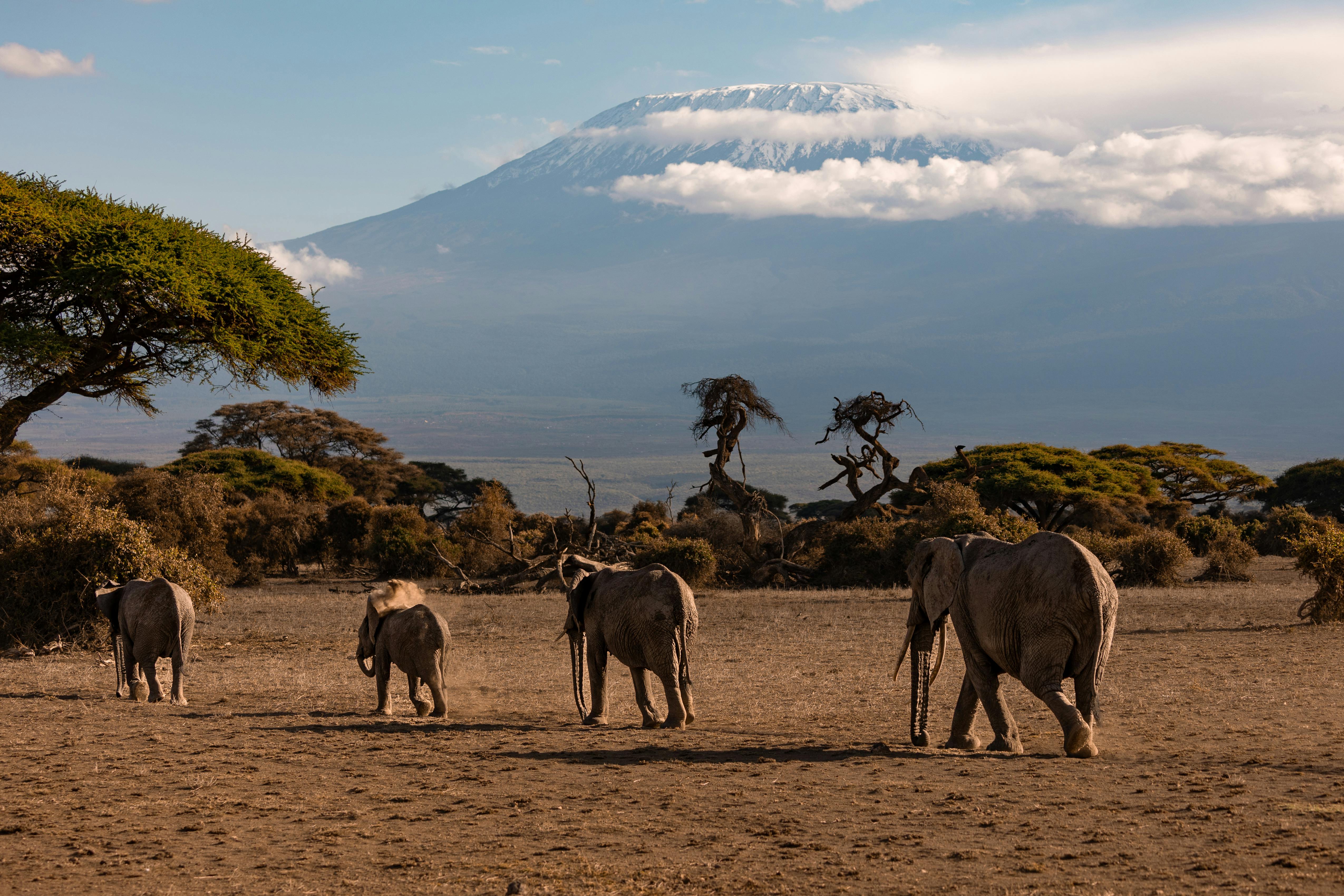 11-Day Kenya Adventure Tour