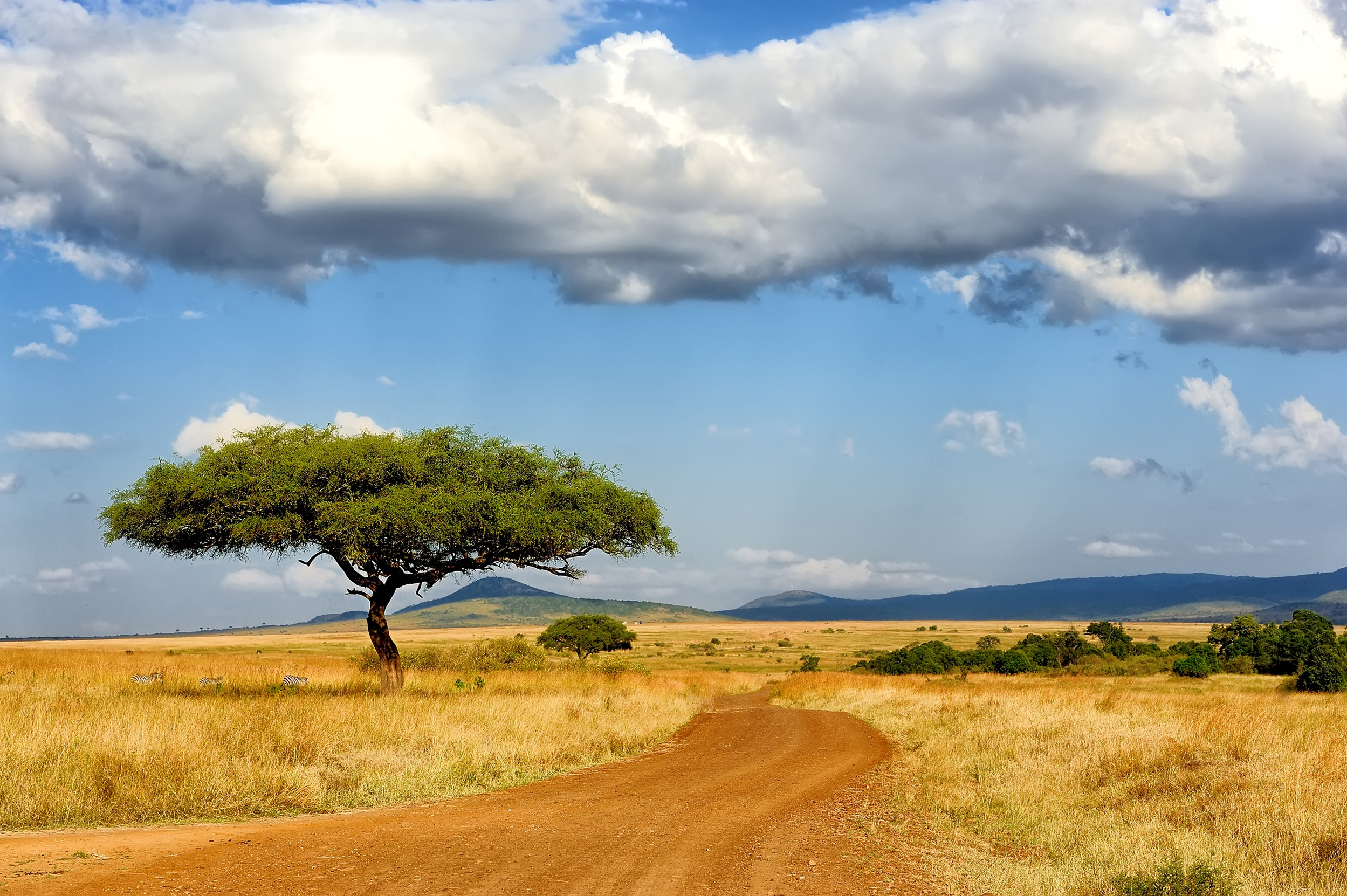 3-Day Nairobi – Amboseli Safari Tour